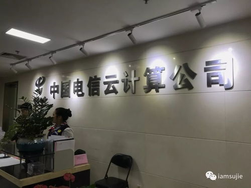 2021年末企業(yè)信息技術(shù)咨詢服務(wù)與產(chǎn)品相關(guān)培訓(xùn)咨詢雙輪驅(qū)動(dòng)，助力數(shù)字化轉(zhuǎn)型