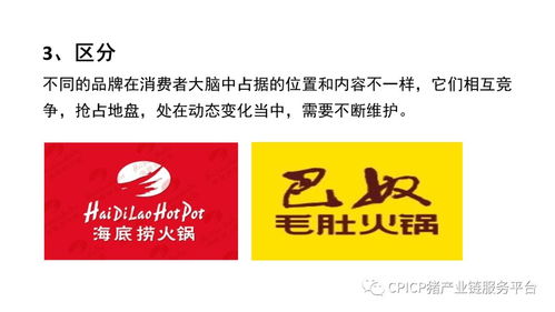 肖一刀 從零起步，匠心打造豬肉品牌的突圍之路